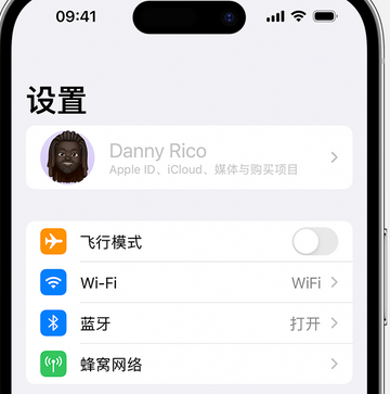 文罗镇appleID维修服务iPhone设置中Apple ID显示为灰色无法使用