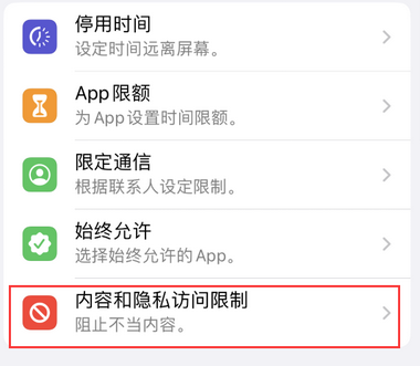 文罗镇appleID维修服务iPhone设置中Apple ID显示为灰色无法使用