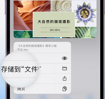 文罗镇apple维修中心分享iPhone文件应用中存储和找到下载文件