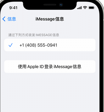 文罗镇apple维修iPhone上无法正常发送iMessage信息 