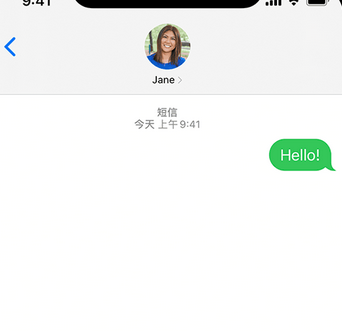 文罗镇apple维修iPhone上无法正常发送iMessage信息