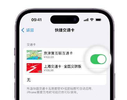 文罗镇apple维修点分享iPhone上更换Apple Pay快捷交通卡手绘卡面 