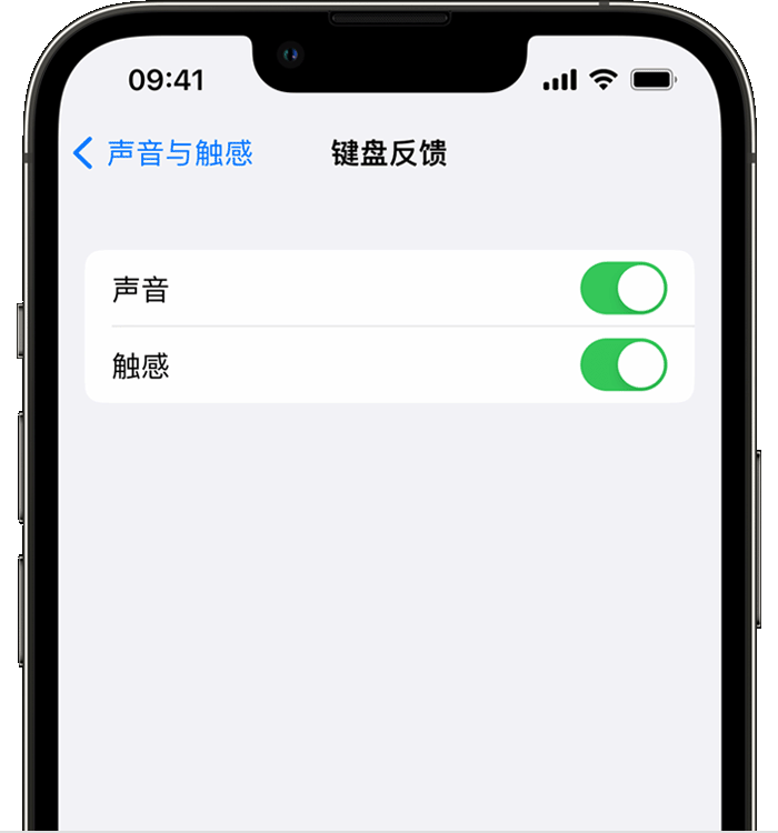 文罗镇苹果14维修店分享如何在 iPhone 14 机型中使用触感键盘 