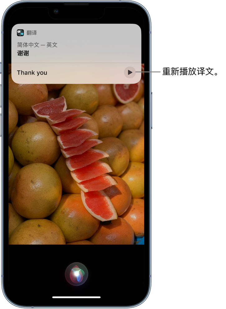 文罗镇苹果14维修分享 iPhone 14 机型中使用 Siri：了解 Siri 能帮你做什么 