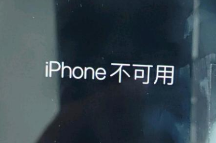 文罗镇苹果服务网点分享锁屏界面显示“iPhone 不可用”如何解决 