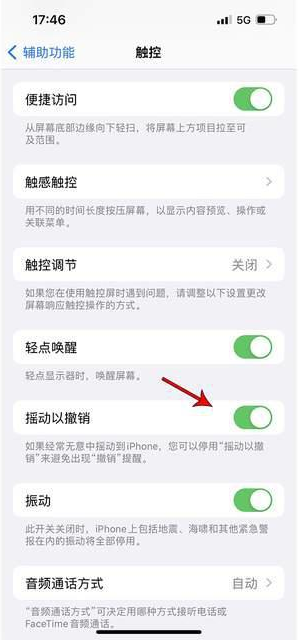 文罗镇苹果手机维修分享iPhone手机如何设置摇一摇删除文字 