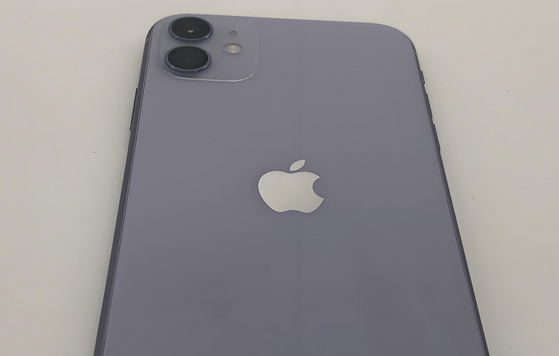 文罗镇苹果11系统维修分享iPhone11手机系统崩溃无法开机如何解决 